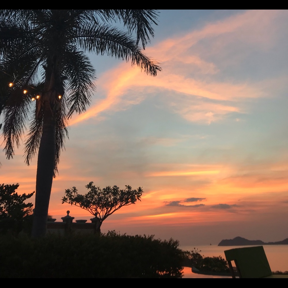 Meet your Posher, Audrey